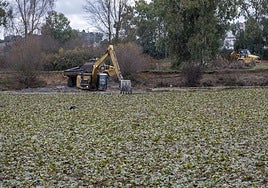 La retroexcavadora con el brazo largo, para sacar lodo desde la orilla