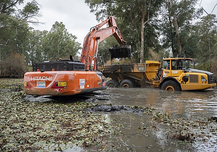 La Confederación extrae 6.000 metros cúbicos de lodo y nenúfar en dos meses