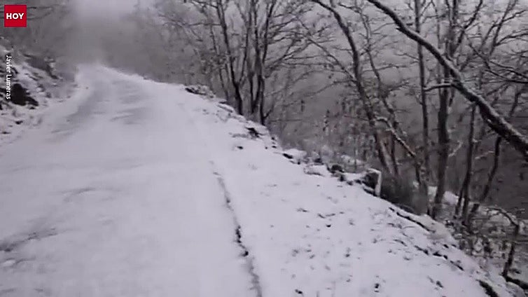 Así está la sierra de Hervás tras el paso de Ingrid