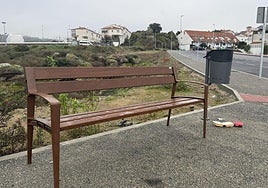 Fotos | Así está la avenida Roberto Iniesta