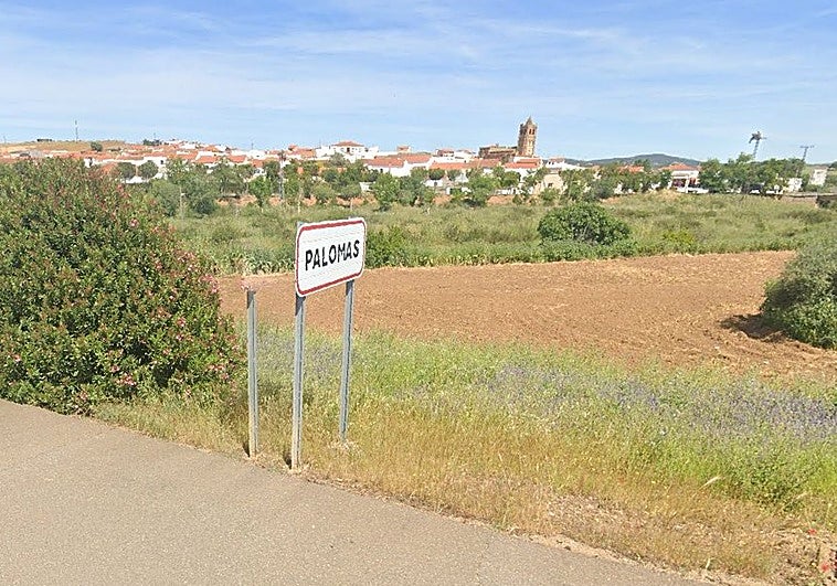 Muere una mujer en Palomas atropellada por un camión de butano