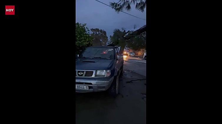 Destrozos por la borrasca en Hinojal