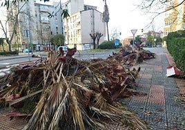 Muro derrumbado tras la caída de un árbol en el instituto El Brocense