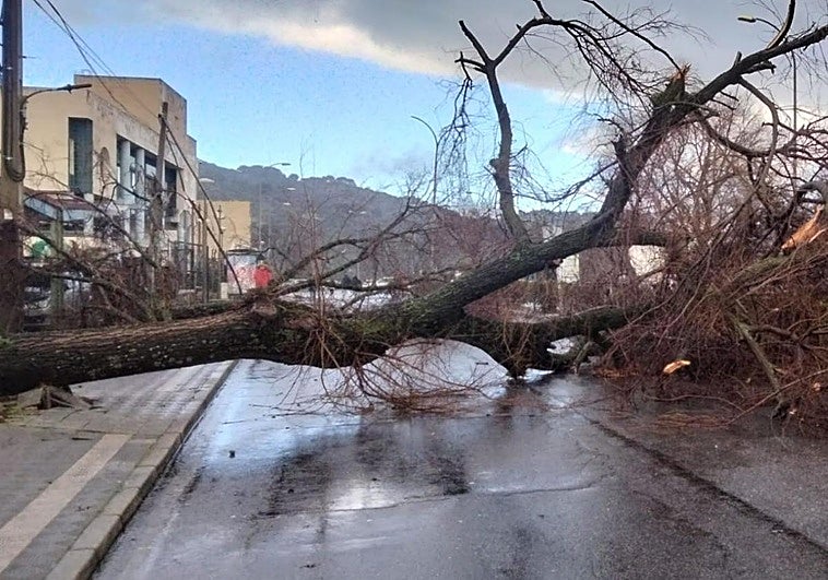 ¿Qué ha pasado este viernes, 30 de enero, en Extremadura?