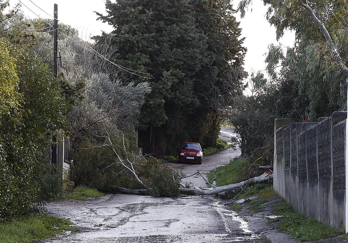 El temporal deja este lunes más de 45 litros y rachas de 102 km/h en Extremadura 