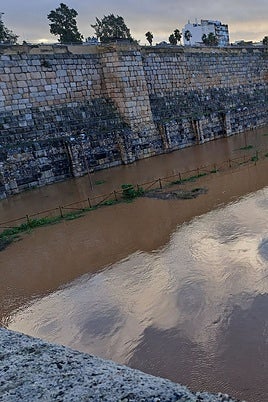 El Guadiana se desborda parcialmente en Mérida y anega parte del gran parque de la Isla