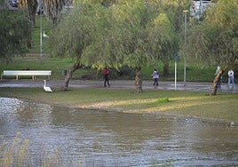 Los pacenses salen a ver la crecida del río Guadiana
