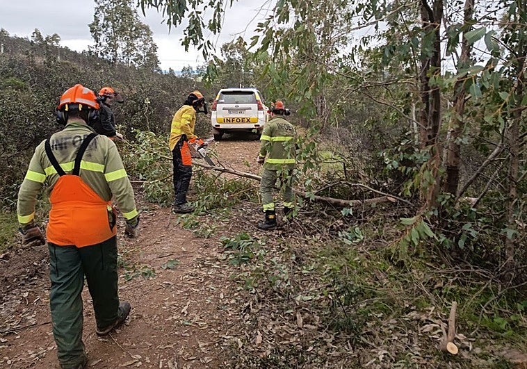 Refuerzan la seguridad contra los incendios en el cerro Arropez de Cáceres