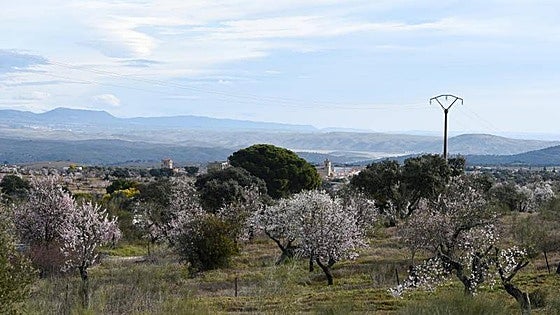 Garrovillas de Alconétar se viste de gala en su fiesta del 'Almendro en Flor', que estrena el título de Interés Turístico Regional