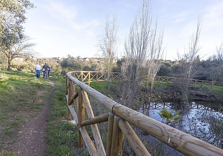 El Olivar Chico de los Frailes de Cáceres recupera su charca artificial y luce mobiliario renovado