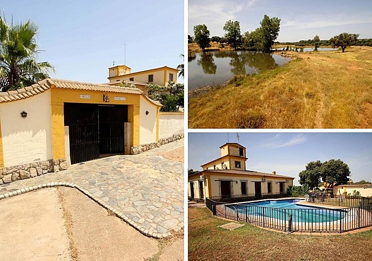 Lujo rústico: así es la espectacular finca con tentadero y olivar que se vende en Extremadura