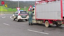 44 detenidos e investigados por falsificar desinfecciones de camiones ganaderos en la provincia de Cáceres