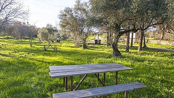 Fotos | Así luce el mobiliario renovado del parque del Olivar Chico de los Frailes