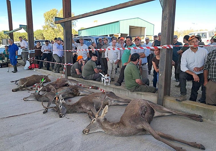 La oferta pública de caza de la Junta recibe 8.010 solicitudes, un 15% más que en la temporada anterior
