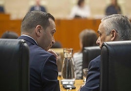 Fotos | Imágenes del pleno en el que se vota la investidura de la candidata a la Presidencia de la Junta de Extremadura