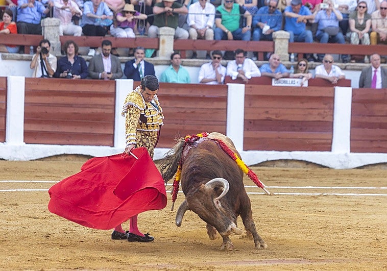 La empresa Lances de Futuro se queda sin rival para explotar la plaza de toros de Cáceres