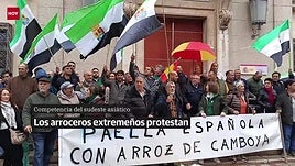 Los arroceros extremeños protestan por la competencia de los países del sudeste asiático