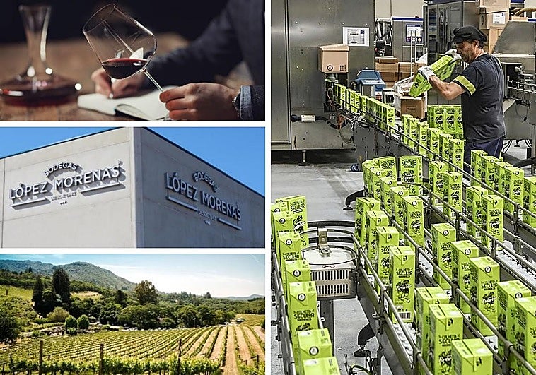El vino con el que cocinan en MasterChef se elabora en Extremadura