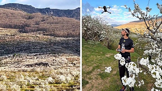 El cerezo en flor a vista de 'pájaro': así luce el espectáculo natural del Jerte desde el aire