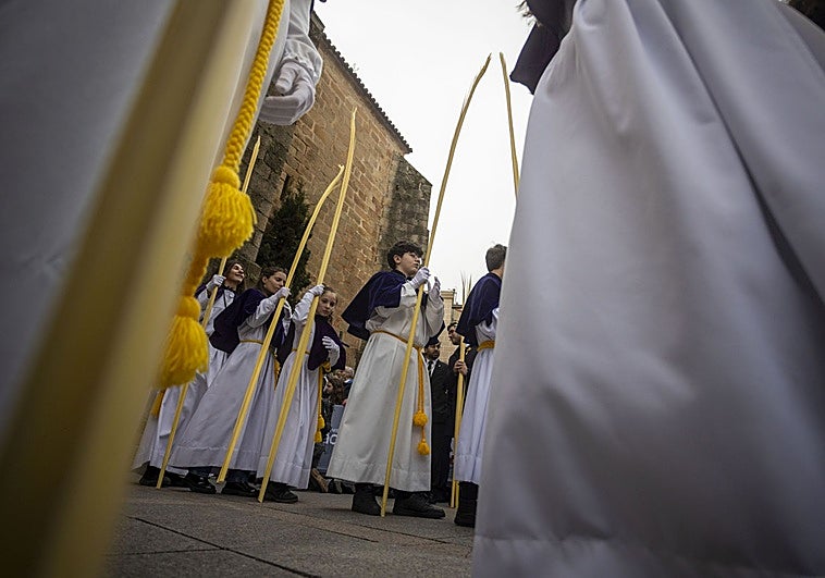 Un intenso Domingo de Ramos con cuatro procesiones abre la Semana Santa en el centro de Cáceres