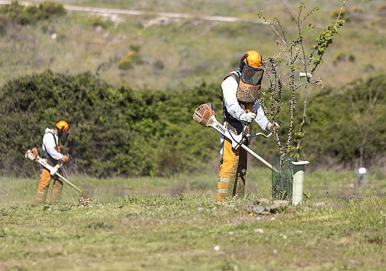 Cáceres implanta un servicio permanente de desbroce durante todo el año para prevenir incendios