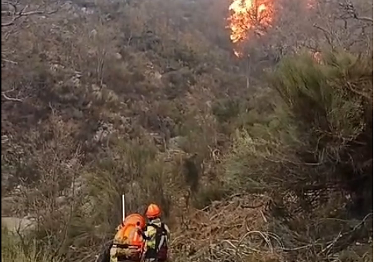 Seis medios aéreos luchan contra las llamas en el incendio que se mantiene activo en La Vera
