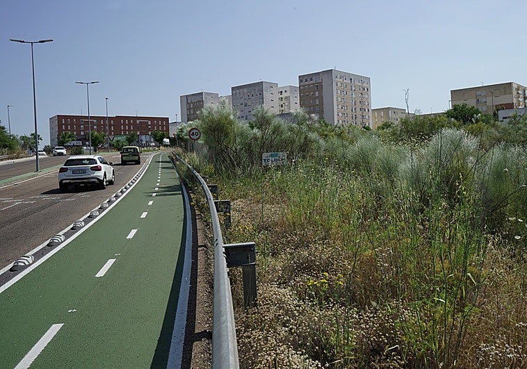 La Junta espera la cesión del suelo para impulsar el instituto de Cerro Gordo