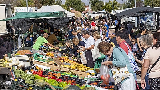 Adjudicado el proyecto para acondicionar la parcela donde se ubicará el mercadillo de Cáceres de forma definitiva