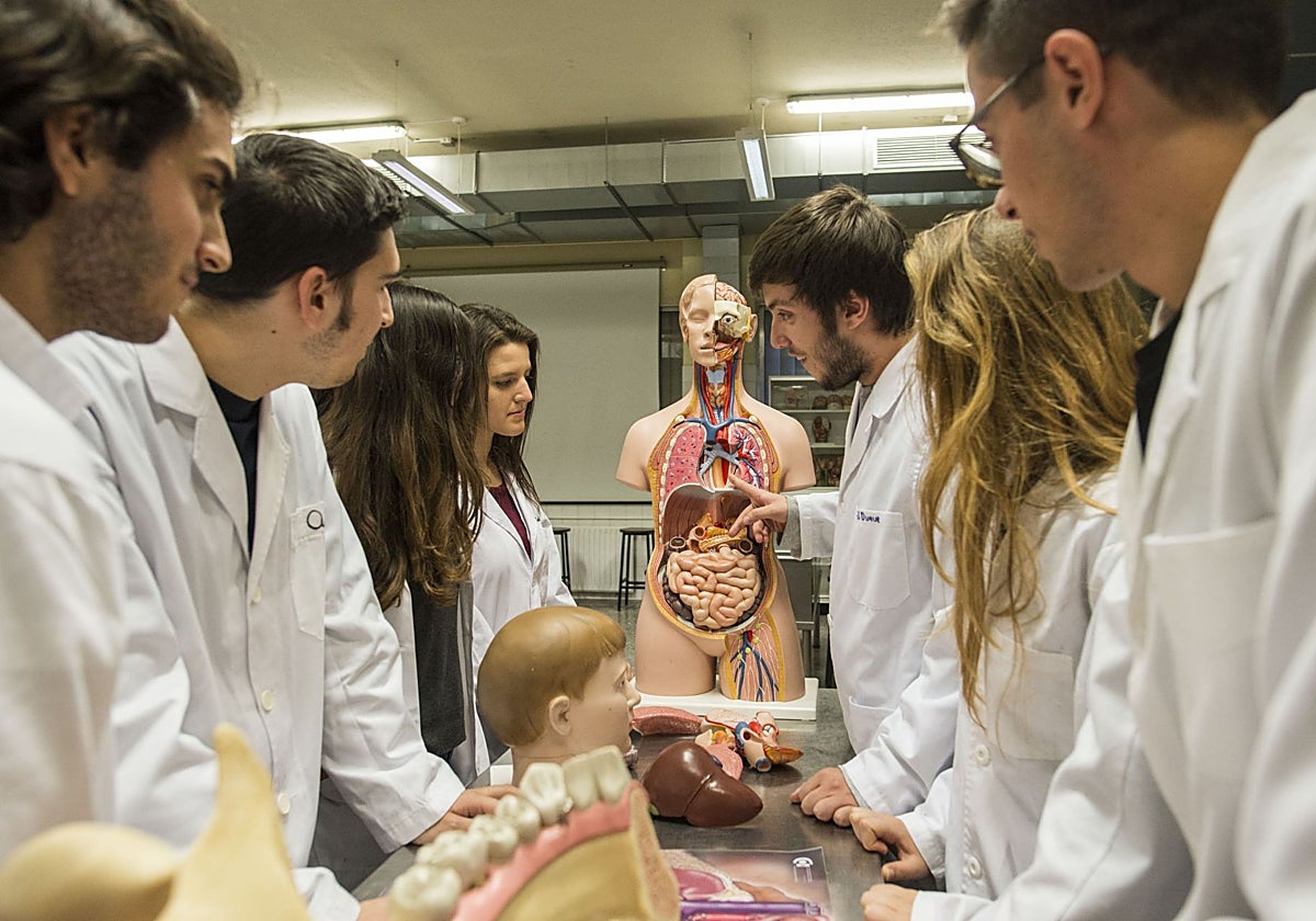 La UEx necesita un 20% más de profesores para prácticas de alumnos de Ciencias de la Salud