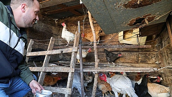 Agricultura levanta el confinamiento de explotaciones por la gripe aviar