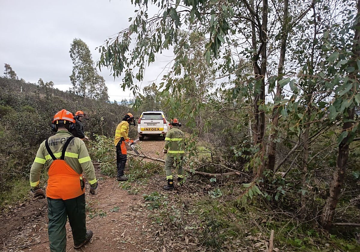 Vox no asumirá la gestión de los incendios forestales en el nuevo Gobierno extremeño