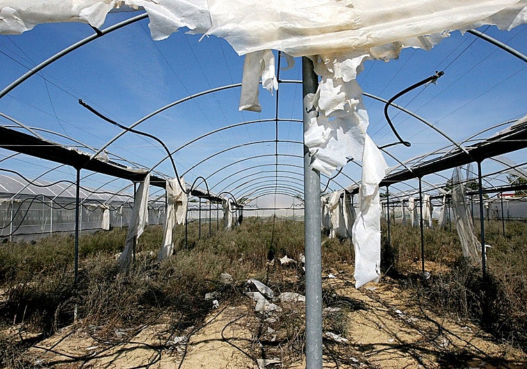 Estos son los beneficiarios de las ayudas de Agricultura por las borrascas