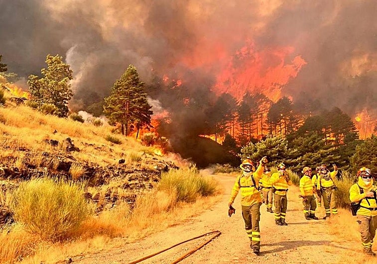 Casi 2.200 aspirantes se examinan este fin de semana para 224 plazas de bombero forestal y agente del medio natural