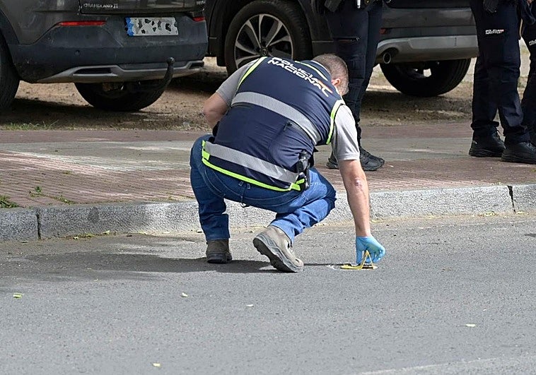 El delegado del Gobierno solicita a los mandos de la Policía Nacional y la Guardia Civil «más esfuerzos» ante la sucesión de tiroteos