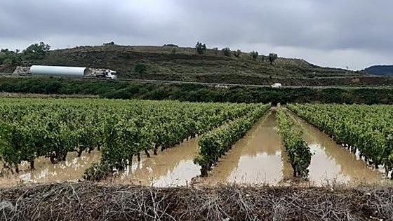 Más de 27.000 nuevas ayudas por las borrascas: comprueba si estás en el listado del Gobierno