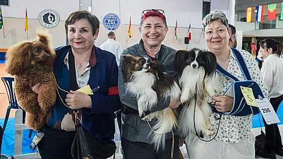 «No quiero echar las cuentas de cuánto me cuesta tener este perro»