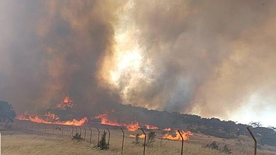 Medios aéreos y terrestres sofocan tres incendios forestales en Extremadura, uno de nivel 1 de peligrosidad