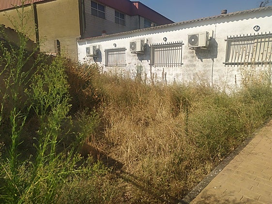 Tiempo Libre pide la limpieza de la maleza del centro juvenil de Trujillo