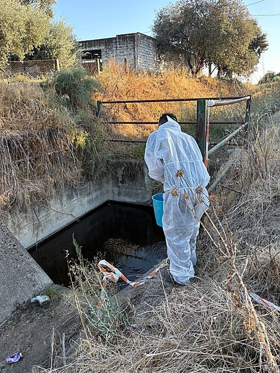 Siguen las labores de control del virus del Nilo en Villanueva de la Serena