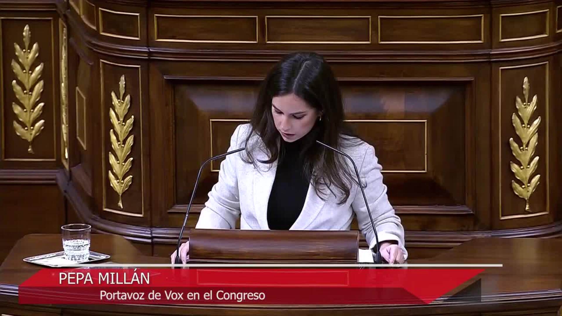 Albares propugna una "alianza mundial" por el multilateralismo