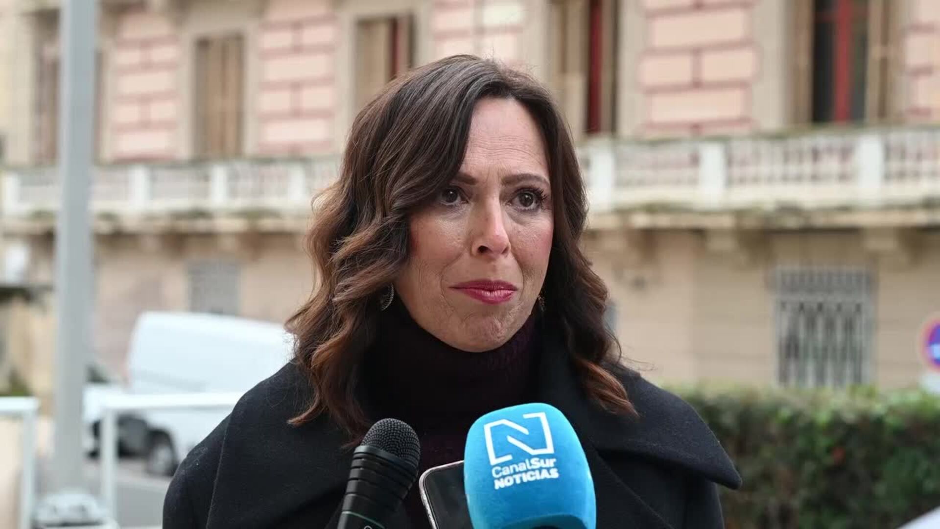 La Ley de Vivienda de Andalucía entra en vigor este sábado "para mejorar la vida"