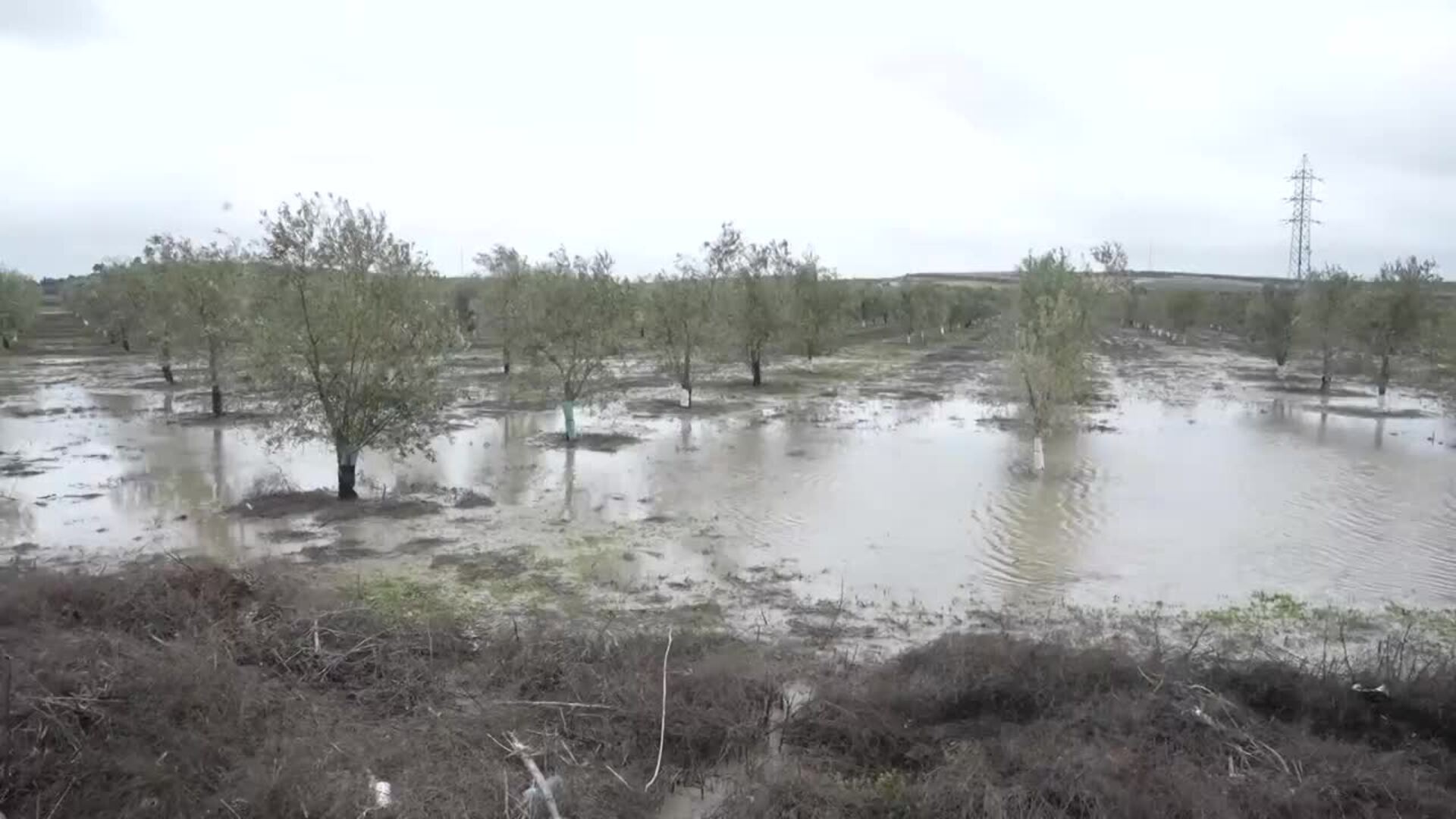 Campos anegados tras el desbordamiento del río Guadaíra por Arahal (Sevilla)