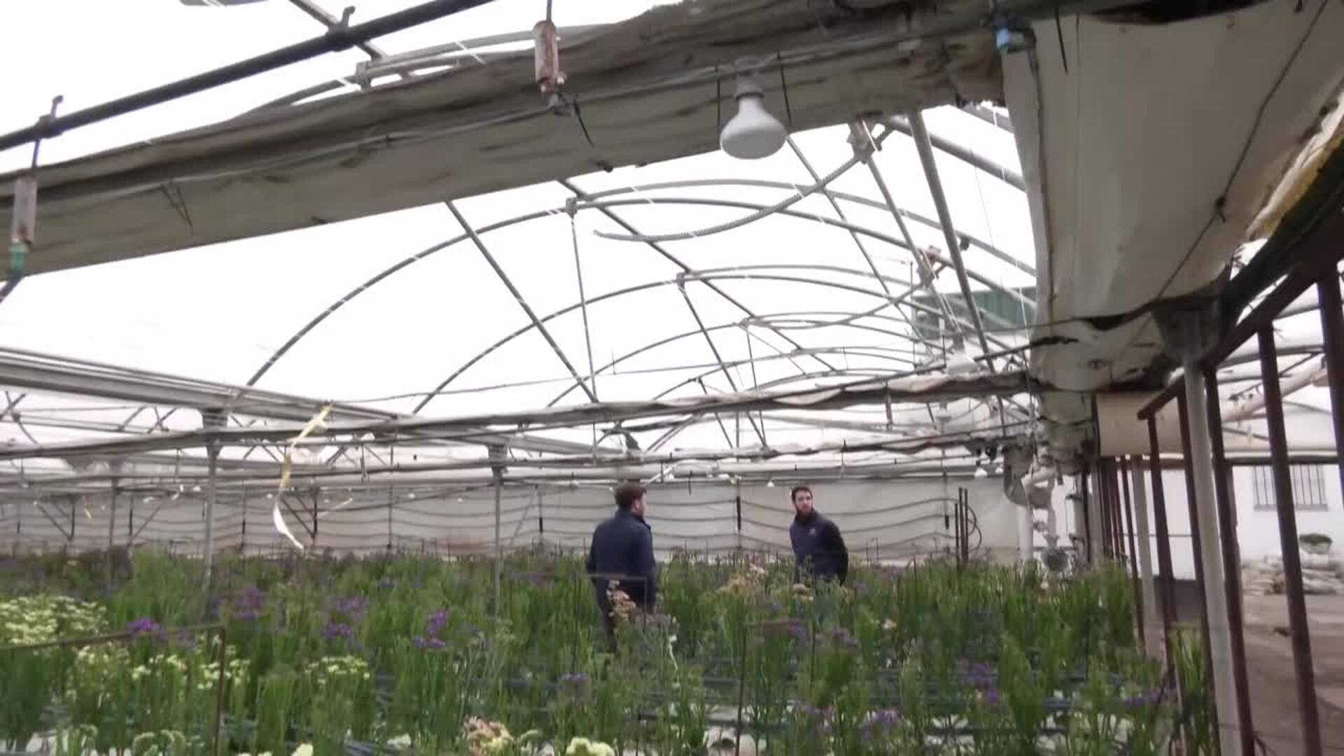 Lebrija (Sevilla) evalúa los daños por el temporal para estudiar una posible zona catastrófica