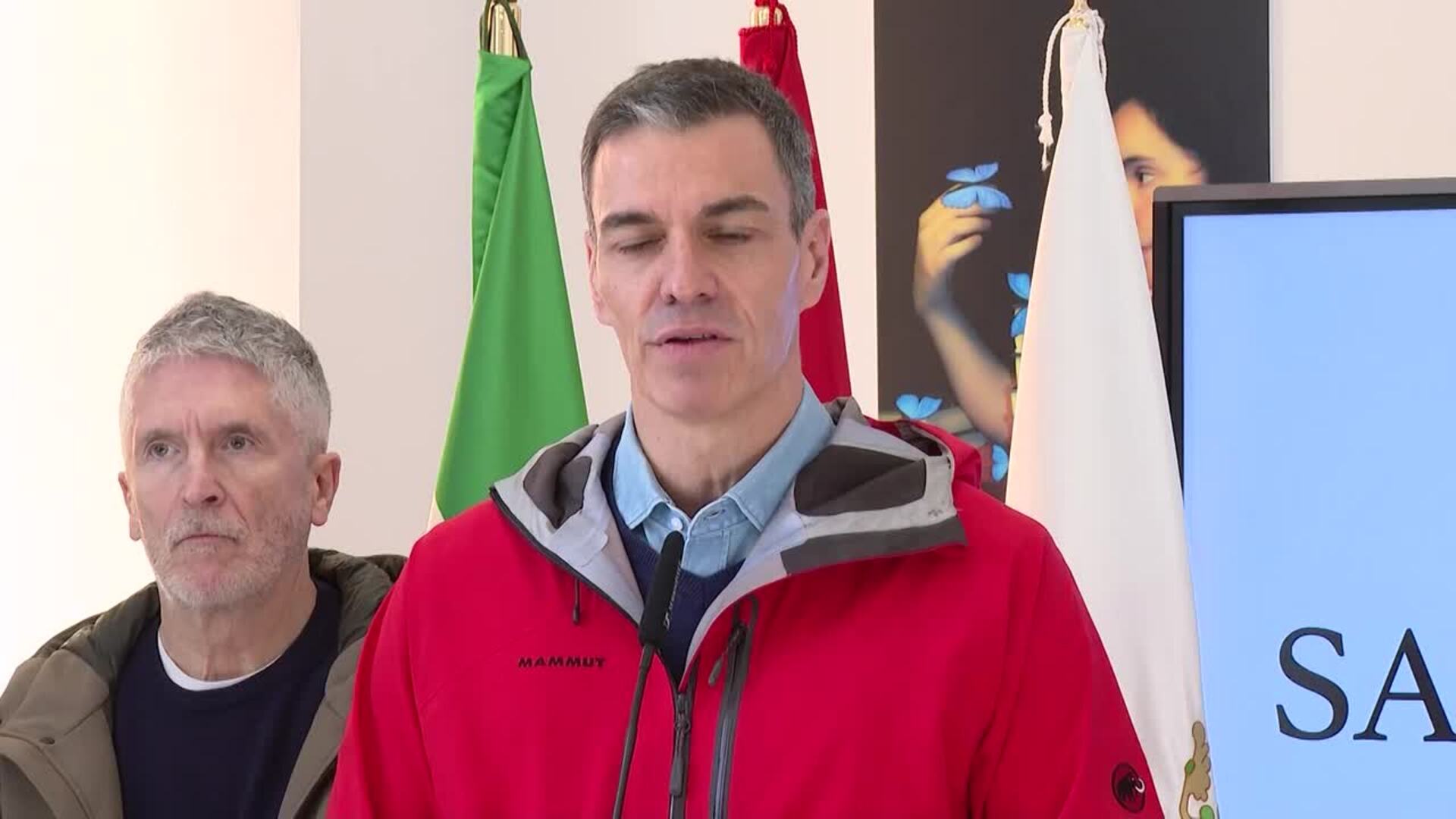 Sánchez pide "paciencia" a los ciudadanos y advierte que vienen "días largos"