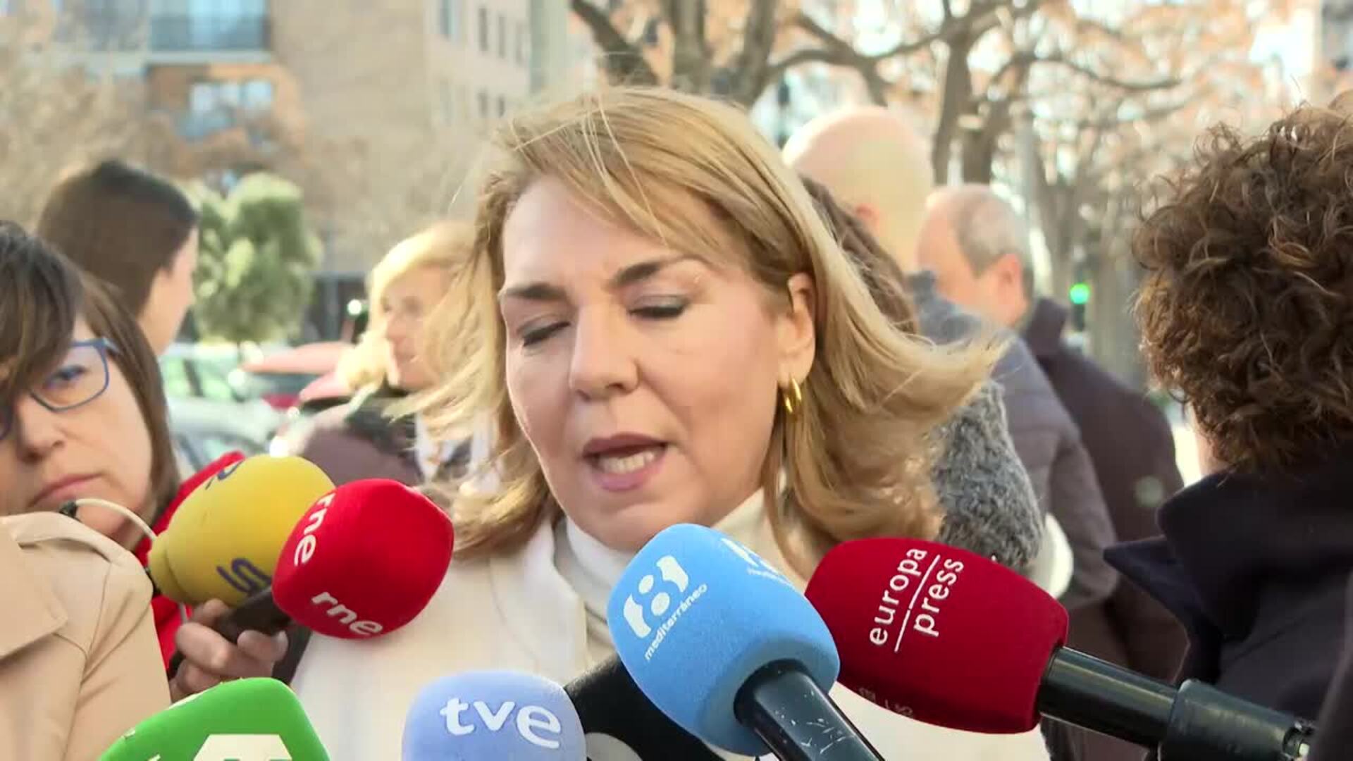 Camarero remarca que habrá "más controles" sobre vivienda pública