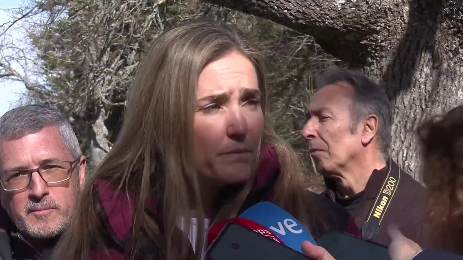 El Gobierno pide a las CC.AA actualizar los datos del censo de lobo tras los incendios de 2025