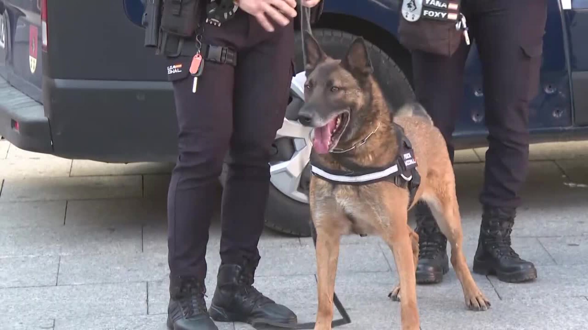 La Policía tramitó 26 expedientes por acoso sexual en los últimos tres años