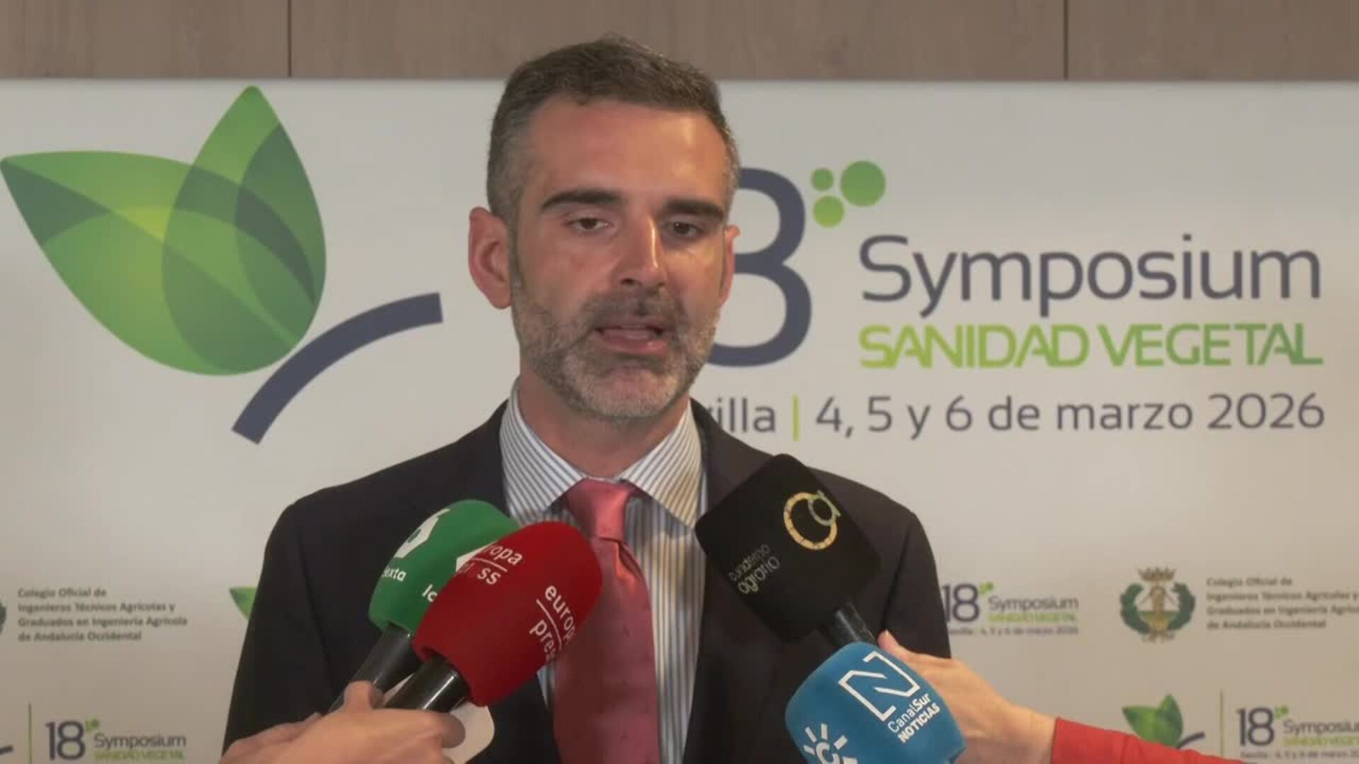 Junta de Andalucía pide al Gobierno una mesa de trabajo para abordar plagas tras las borrascas