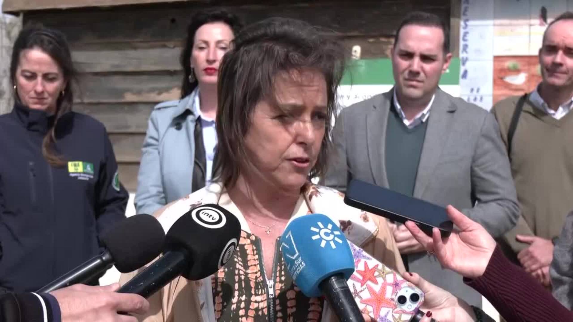 Las obras de restauración de Las Salinas de Cabo de Gata favorecerán la reproducción de aves