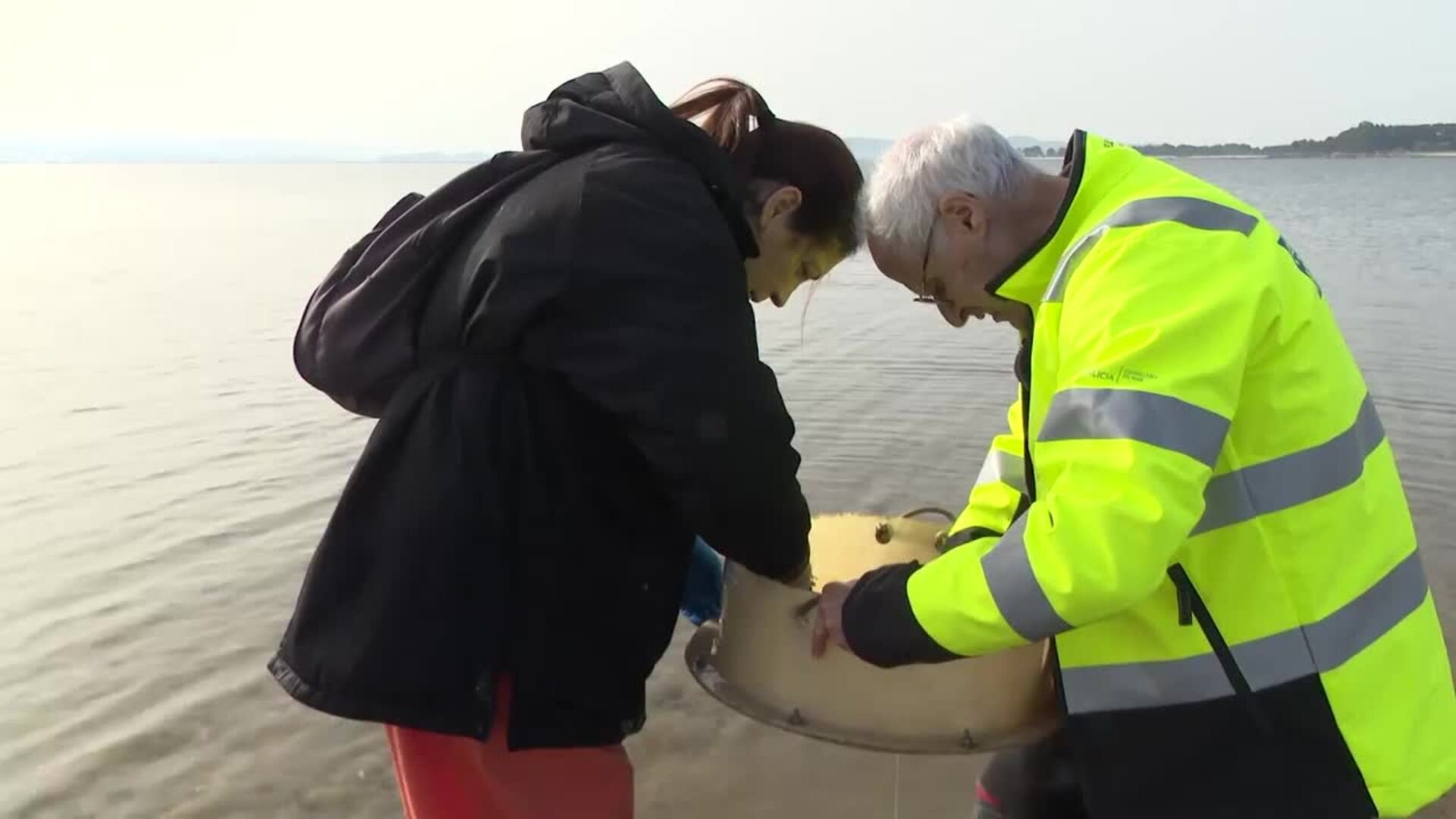 'Mayday' del marisqueo: situación "bastante mala" y posible parón si la mortandad es "severa"
